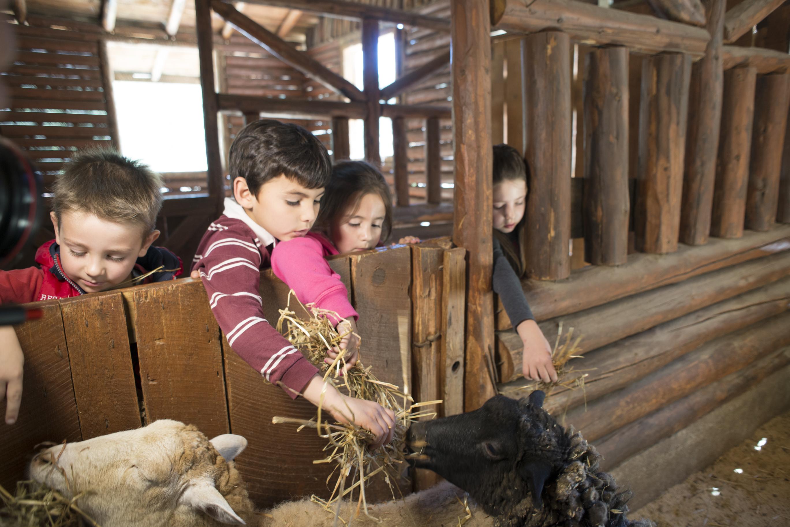 Hotel Bosques De Monterreal San Antonio de las Alazanas Zewnętrze zdjęcie