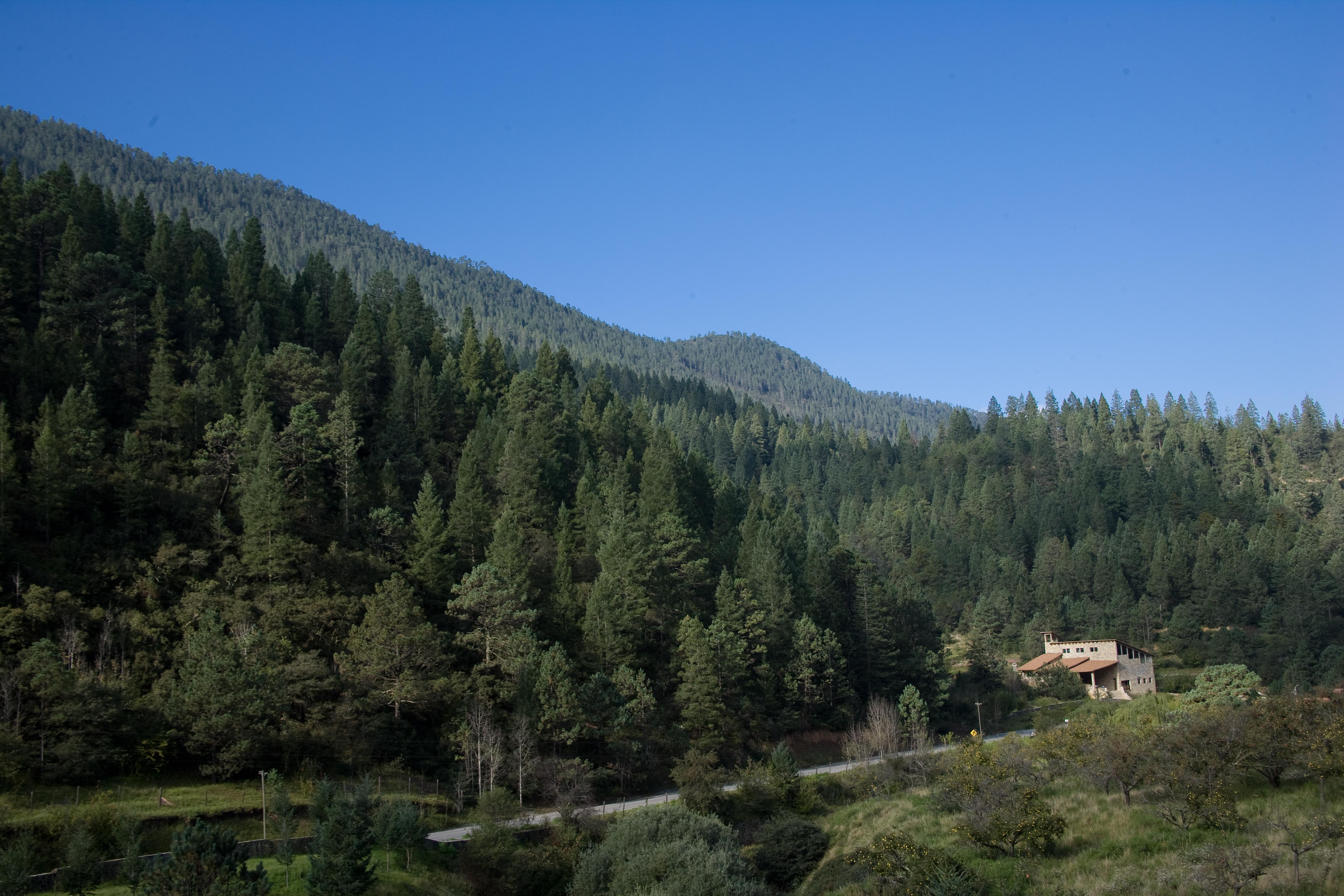 Hotel Bosques De Monterreal San Antonio de las Alazanas Zewnętrze zdjęcie