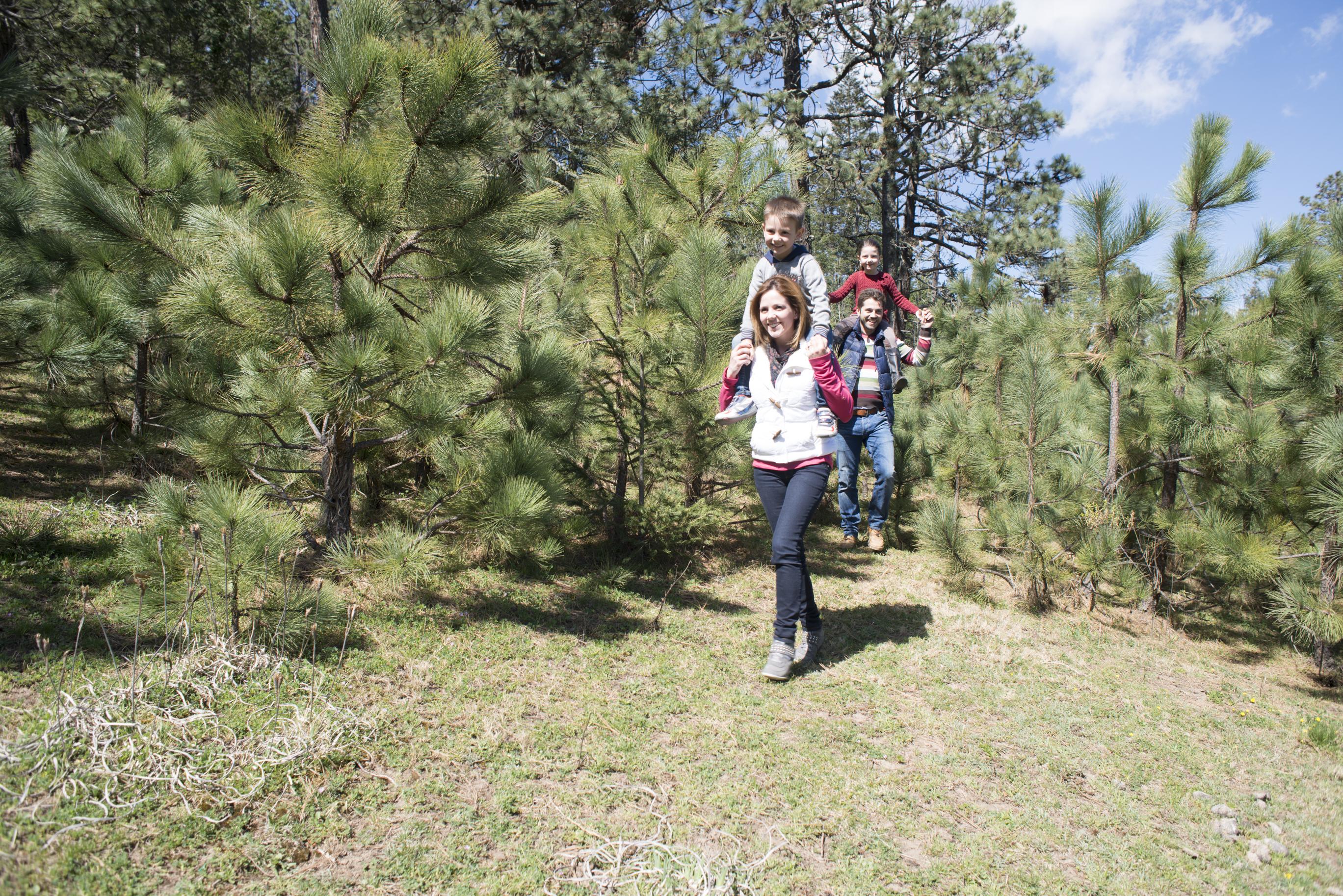 Hotel Bosques De Monterreal San Antonio de las Alazanas Zewnętrze zdjęcie