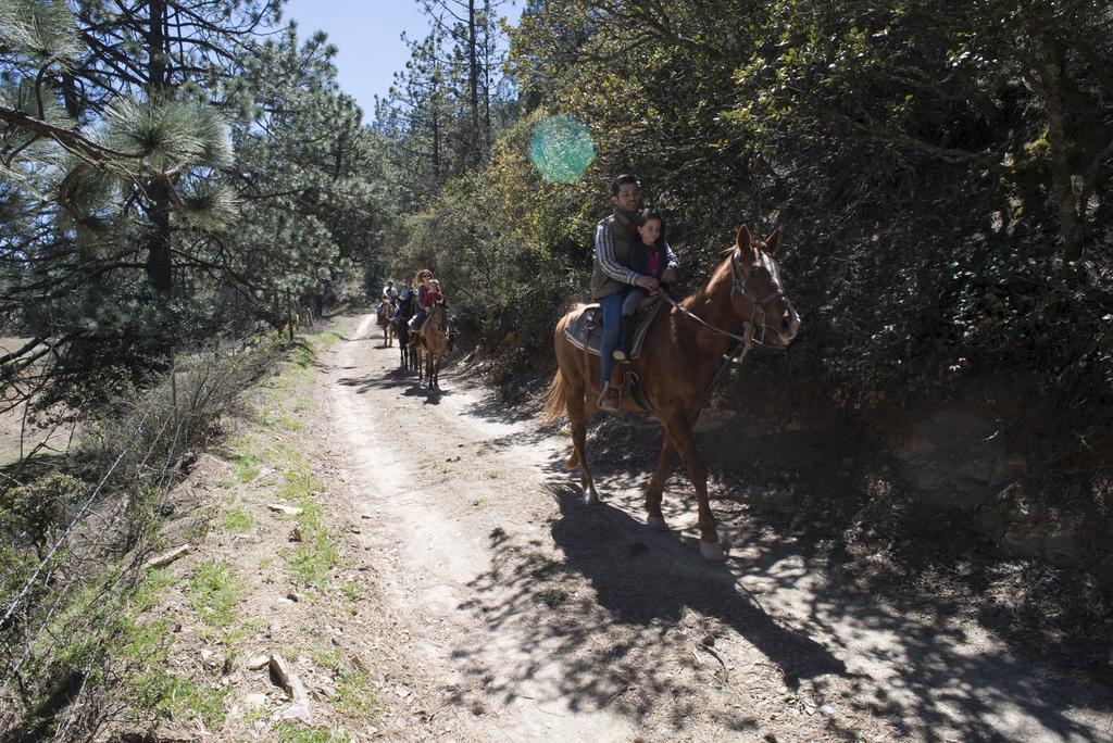 Hotel Bosques De Monterreal San Antonio de las Alazanas Zewnętrze zdjęcie